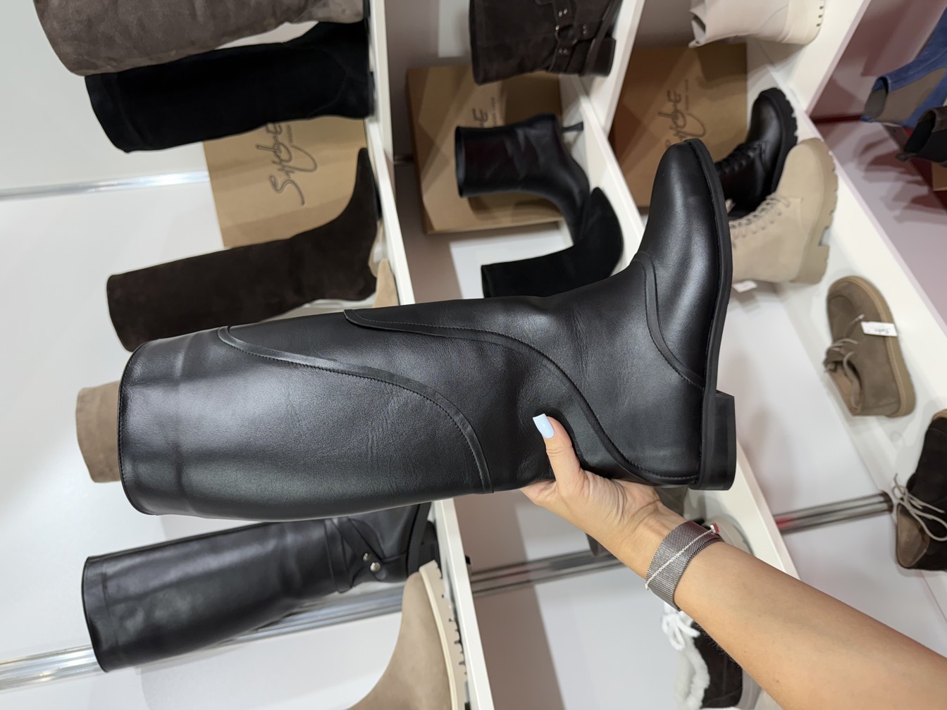 Variation Gallery Image